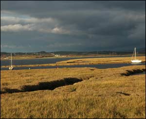 This is a photo taken in Penclawdd (Swansea/Gower) out over the marsh, taken by Dennis Beal of Swansea.