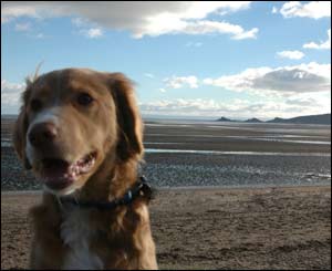 Photo taken at Swansea Bay of Harvey with Mumbles in the background (Kelly Morris, Swansea)