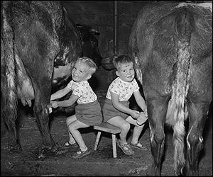 A picture from the new book - copyright of the National Library of Wales