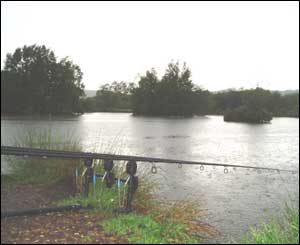 Julian Dowsell from Newport took this picture while fishing at Whitesprings lakes in west Wales