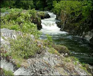 The River Teifi at Cenarth, taken by nine-year-old Sarah Morgan from Caerleon