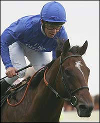 Aussie jockey Kerrin McEvoy enjoys success with Shamardal 