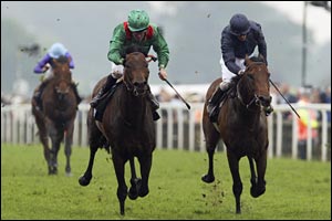 11-8 favourite Azamour (L) and Ace race for the line