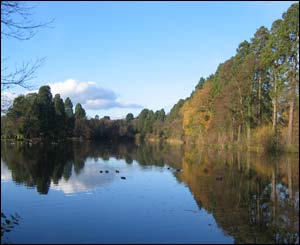 Tredegar Park in Newport, sent in by Richard Pearson from Cardiff