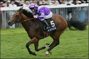 Masta Plasta rides to victory