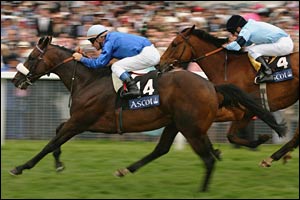 Westerner (L) overtakes Distinction (R)