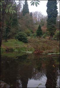 A cold morning in Parc Cefn Onn in Thornhill, Cardiff (Mike Harrison)