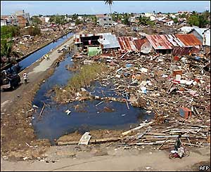 Damaged buildings in Meulaboh town, capital of west Aceh, 31 December