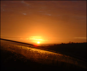 Batia Tucker sent in this image taken through the car window in the early morning while leaving Brechfa Forest on the way to Carmarthen.