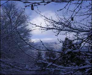 Snowdon through the trees on Christmas Day in the morning from Liam Ferris' garden in Rhyd Ddu, Gwynedd