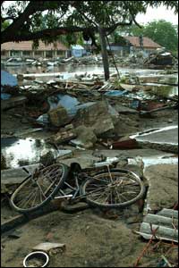Northern Sri Lankan village