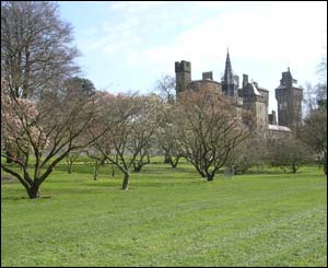 This view of Bute Park behind Cardiff Castle was taken by Margaret Salt