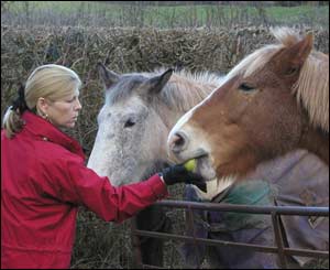 Edwina giving a horse a treat, from Nick Morgan in Caerleon