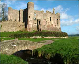 Laugharne Castle on a rare sunny winters day by Neil Hopkins