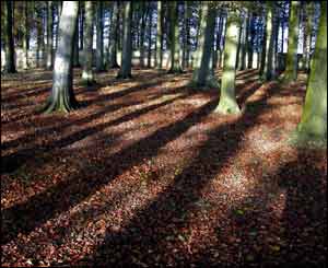 Rhian Iolo from Cardiff took this picture at St Fagans Museum of Welsh Life with his family 