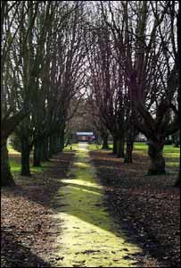 Bettws Park in Ammanford, taken by Jethro Browne of Parcyrhun