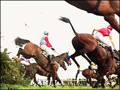 Horses racing in the 1993 Grand National