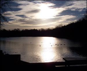 Cwmbran's boating lake, taken by Owen Hughes, who is currently studying in the University of Warwick