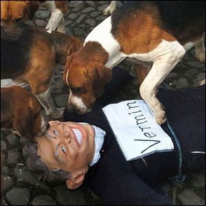 Effigy of Tony Blair bitten by dogs