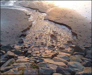 Sam Pritchard from Berkshire took this shot on Pwllgwaelod Beach in Pembrokeshire
