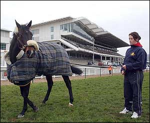 Top Strategy and Katie Walsh infront of the main stand at Cheltenham