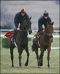Central House and last year's Champion Hurdle winner Hardy Eustace