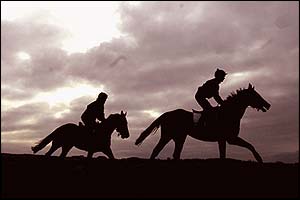 Meade's horses take part in an early morning workout