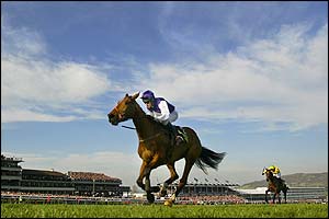 Kicking King romps clear to win the Gold Cup