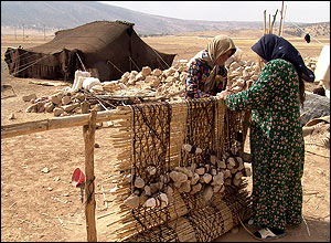 Woman talk with each other while weaving 