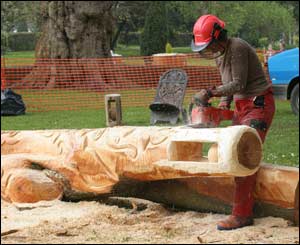 A tree sculptor outside the flower show at Cardiff's Bute Park (Howard Turvey)