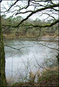 Swiss Valley reservoir nr Llanelli, as taken by Jo Thomas.