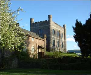 Len Griffin took this shot of Abergavenny Castle on a beautiful but cold summer evening
