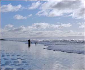 Dog walkers taking advantage of the fine weather at Rest Bay on a fresh, but blustery afternoon (Lee Canning, Cardiff)