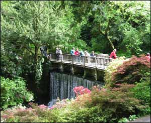 Daniel Inman from Manchester captured this shot at Bodnant Gardens near Conwy