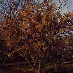 Section, Gillian Carnegie