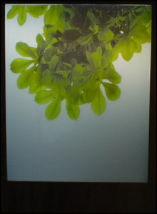 NoTreeHouse - Ed Swan (Design Products)