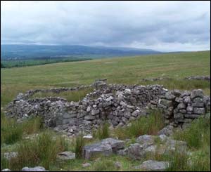 Old sheep fold on Gareg Coch, above Abercraf in the upper Swansea Valley (Enid Gwillim, Ystradgynlais) 