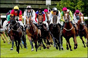 Evaluator leads the field in the first race at Goodwood