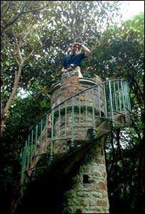 Shirley Suckling said this tower at Clyne Gardens was built for the owner to view his rhododendrons