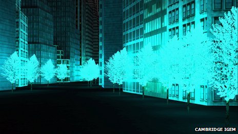 Glowing trees