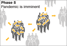 Virus transmission to humans