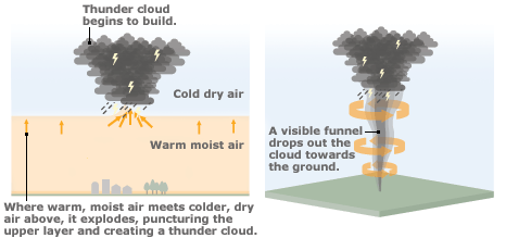 Graphic showing how the upward movement of warm, moist air into cooler air above creates thunder clouds in the formation of a tornado