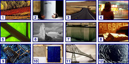 Photographer of the year:Environment