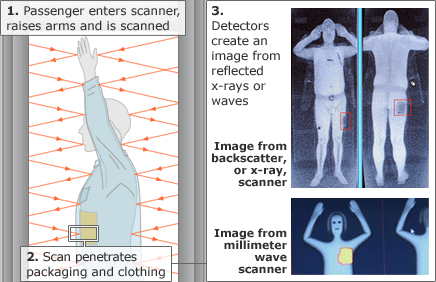 body scanner image