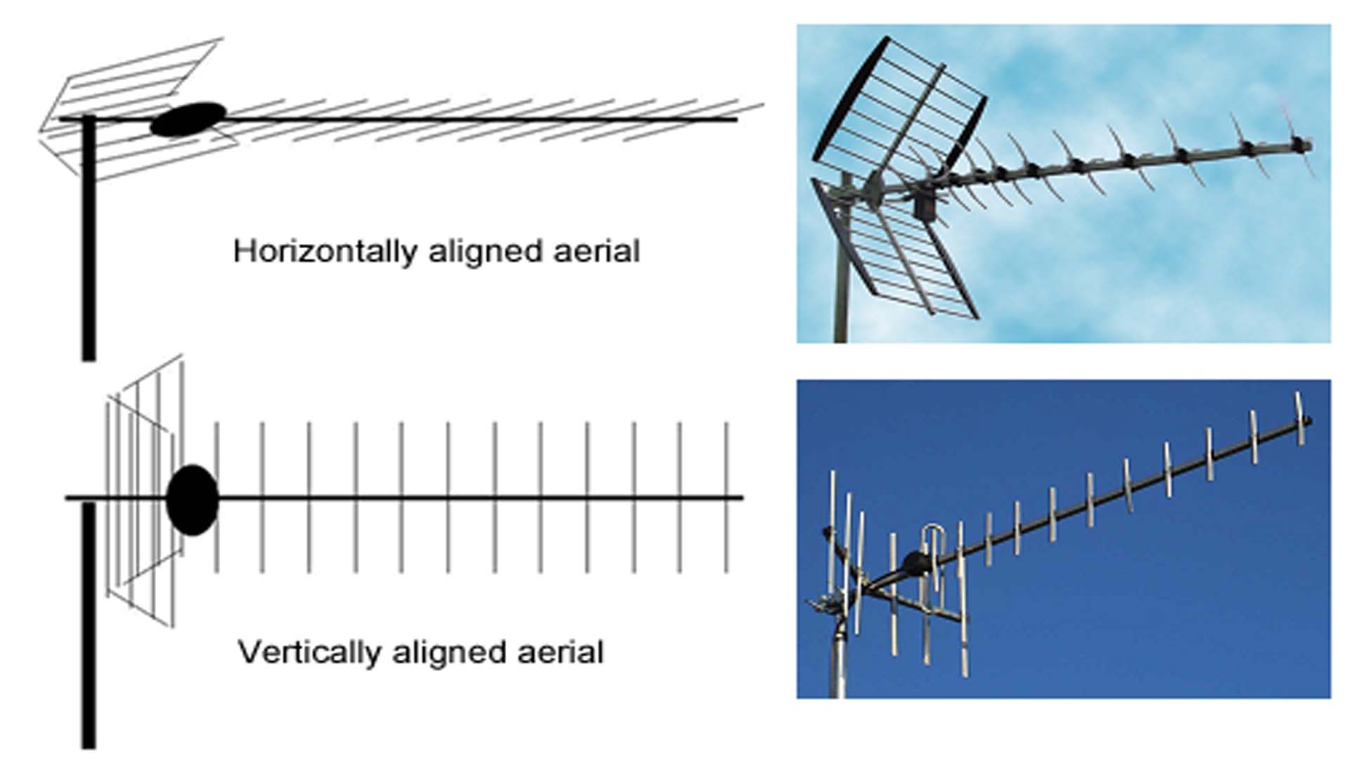 aerial types