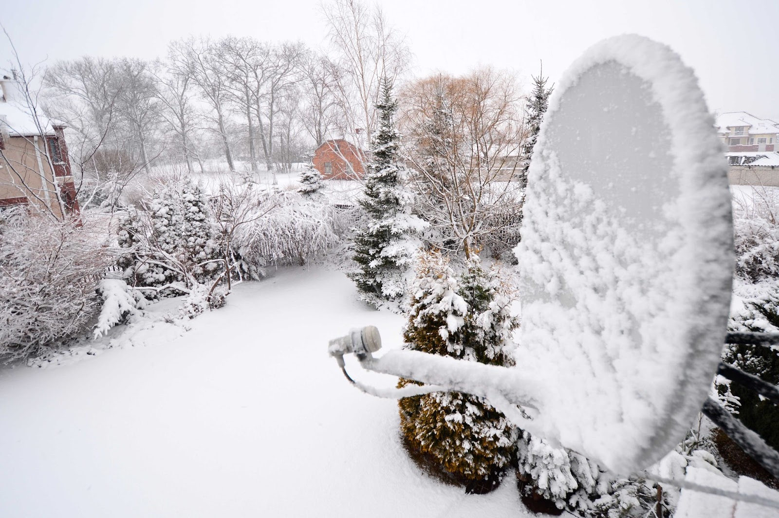 Snowy satellite dish