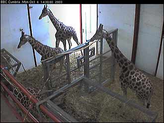 Screen grab Monday 6 Oct 2003