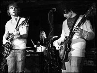 Shepherds Pi in action