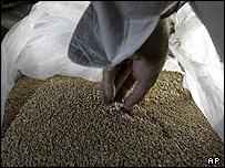 گندم در بازار کابل