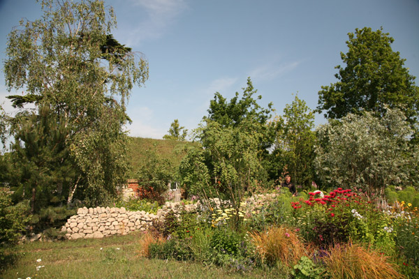 Blue bean shrub in the centre of the garden is underplanted with the light yellow Achillea 'Credo'. Red Monarda 'Gardenview Scarlet' catches the eye to right.
